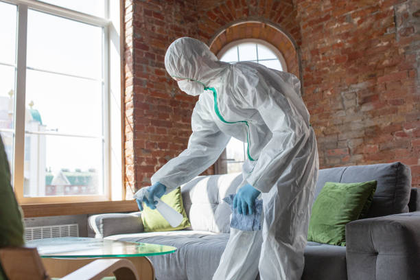 Why You Should Choose Our Mold Remediation Services in Roodhouse, IL